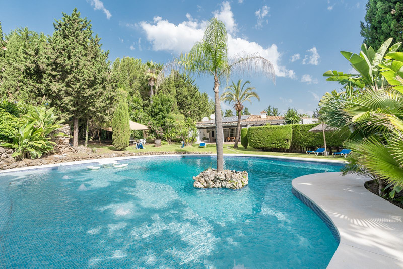 Swimming pool with palm island at its centre