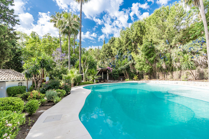 Second swimming pool surrounded by mature planting