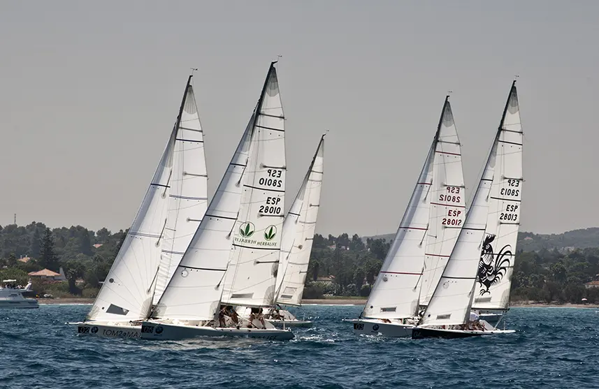 Sailboats racing close together on the water with a green shoreline behind